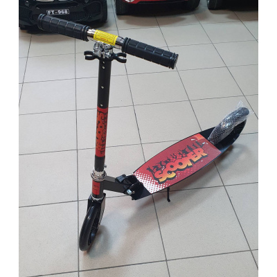 Самокат подростковый ''Scooter'' Сити2